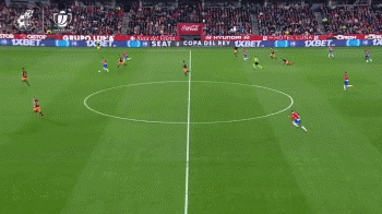 体育数据统计与趋势观察